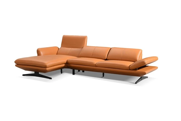 Modern L Shape Sofa