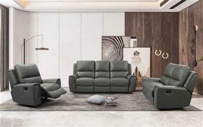 Leather Sofa